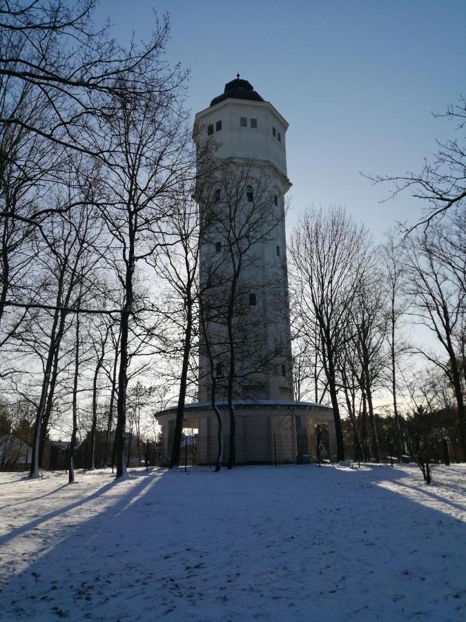 Ferienwohnung Am Wasserturm ホーエン・ノイエンドルフ エクステリア 写真